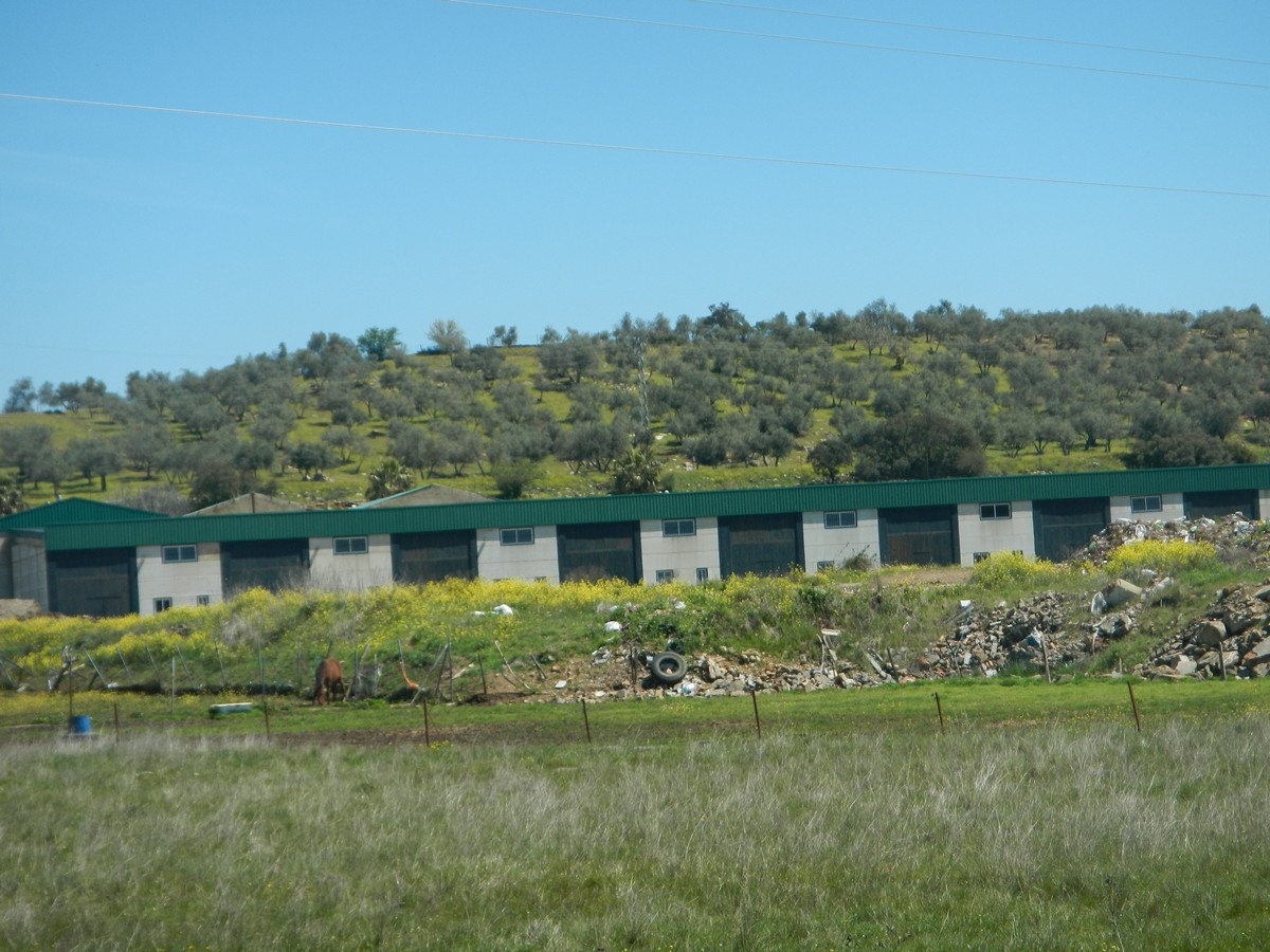 Fachada de Solar