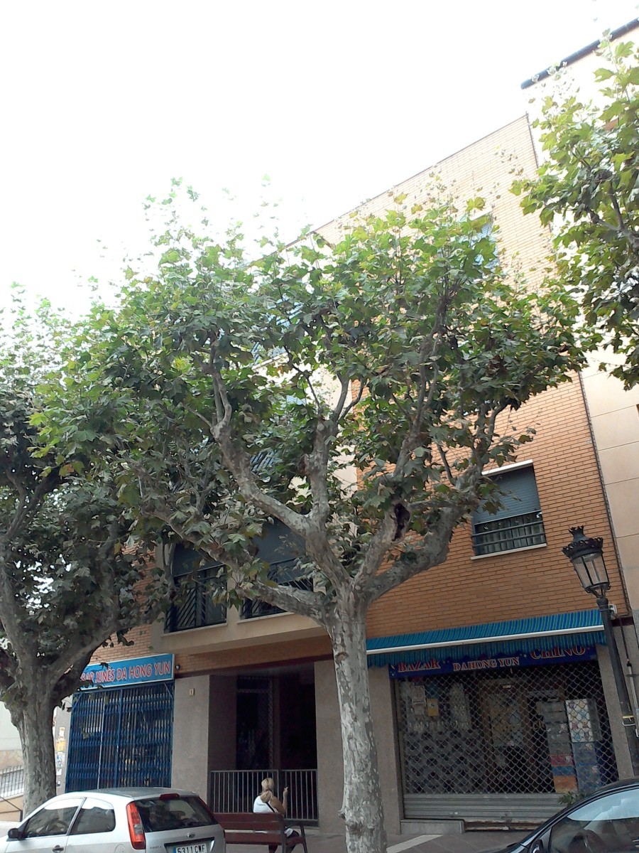 Fachada de Vivienda