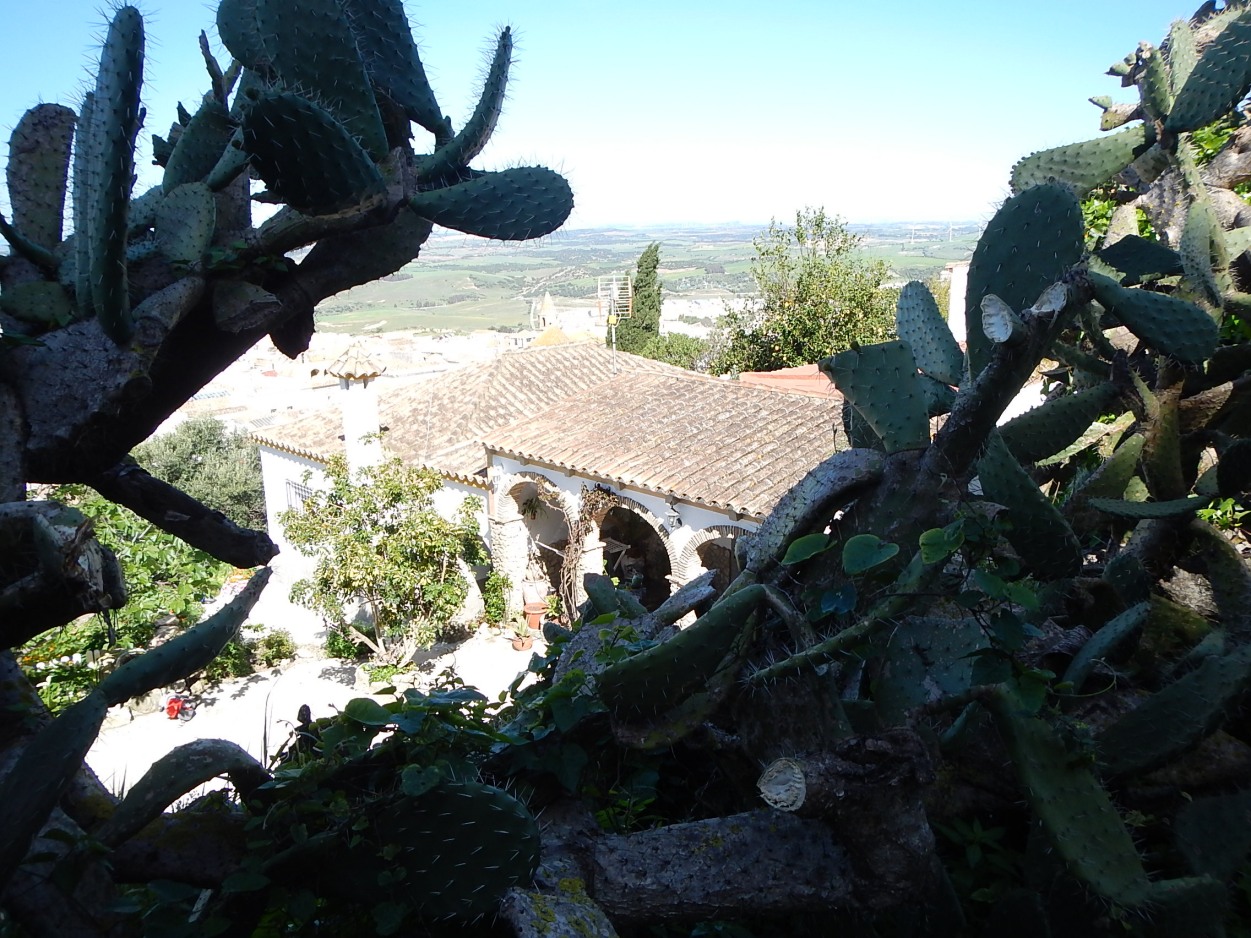 Fachada de Finca urbana