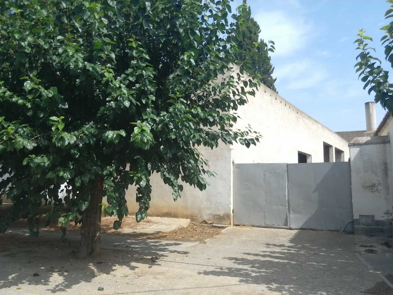 Fachada de Finca urbana