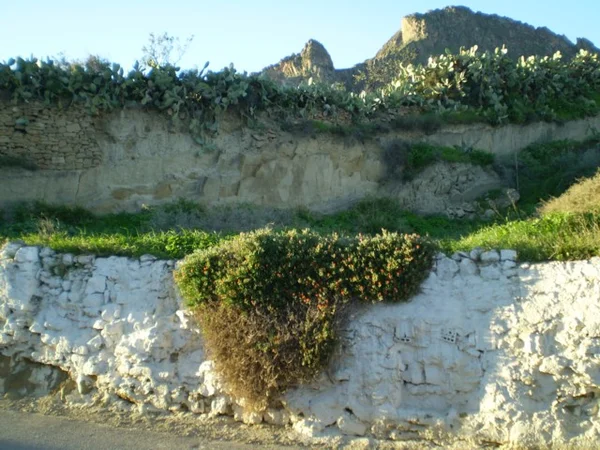 Finca rústica
