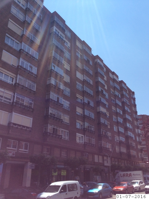 Finca urbana