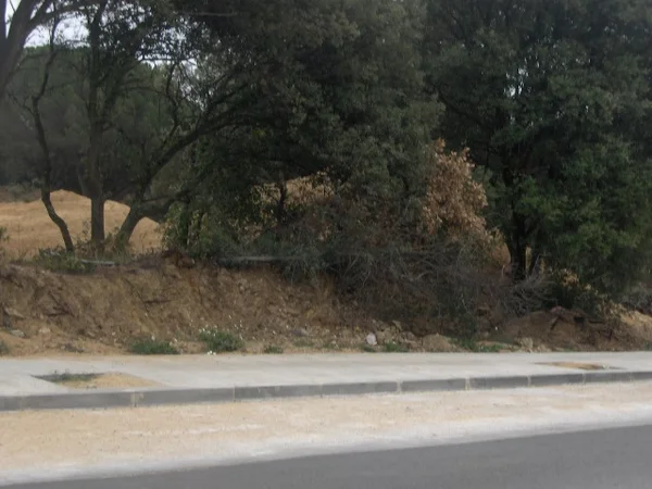 Finca rústica