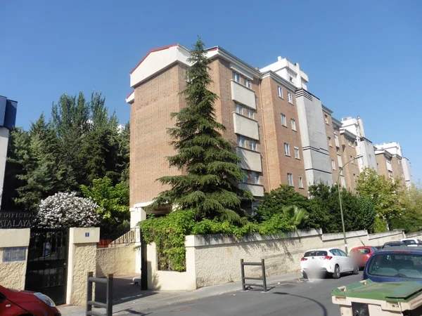 Finca urbana